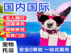 海口美兰空运地址国际宠物托运 【国